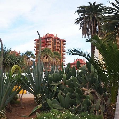Sunshine Studio Puerto de la Cruz  Exterior photo