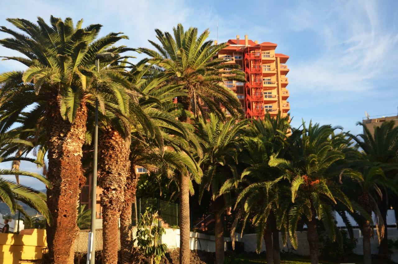 Sunshine Studio Puerto de la Cruz  Exterior photo